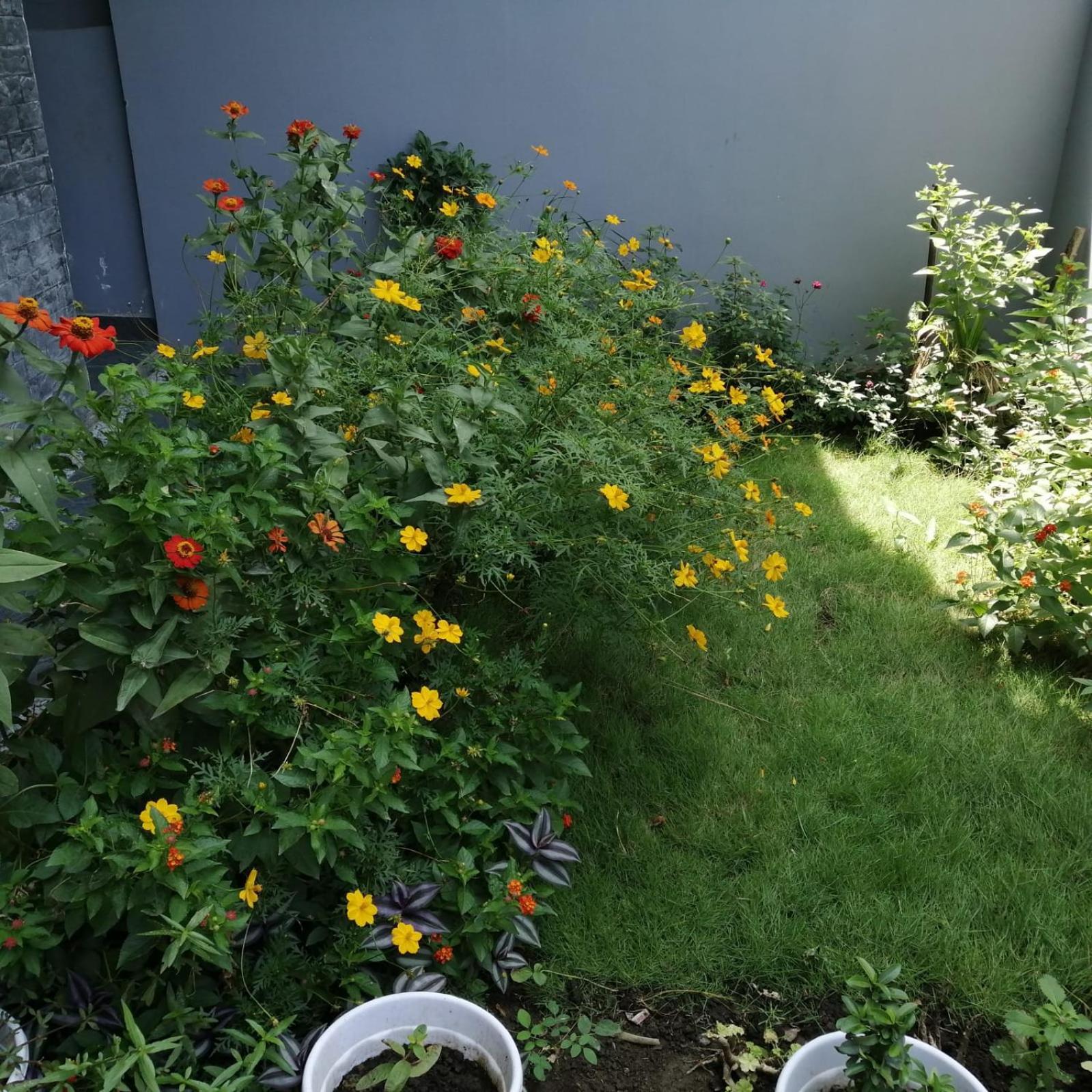 Aashiyana Home Stay Bhopal Bagian luar foto